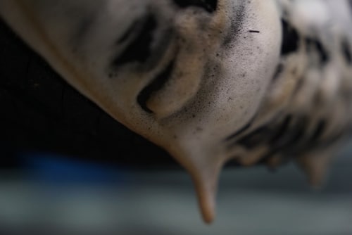 D_NQ_NP_2X_606595-MLU84803403767_052025-O.jpg D_NQ_NP_2X_606595-MLU84803403767_052025-O.jpg